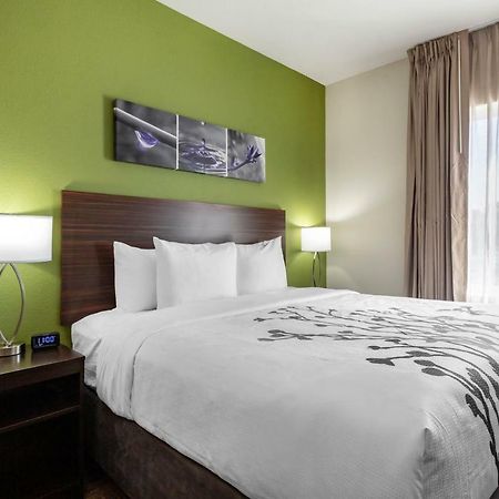 Sleep Inn & Suites Tampa South Ngoại thất bức ảnh